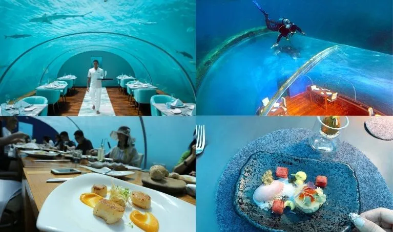 Ithaa Undersea